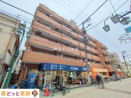 ���n�O�ώʐ^ �B�e��(2025-10-15 00:00:00)