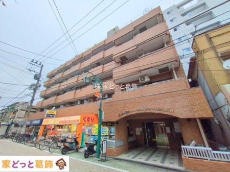 ���n�O�ώʐ^ �B�e��(2025-10-15 00:00:00)