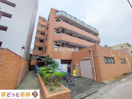 ���n�O�ώʐ^ �B�e��(2025-10-15 00:00:00)