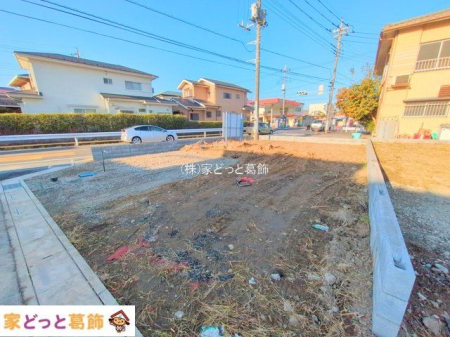 ���n�y�n�ʐ^ �B�e��(2025-11-17 00:00:00)