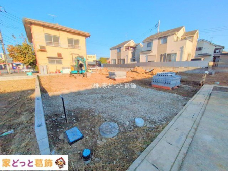 ���n�y�n�ʐ^ �B�e��(2025-11-17 00:00:00)