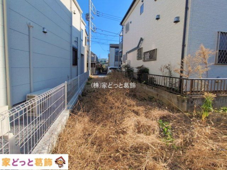 ���n�y�n�ʐ^ �B�e��(2026-01-06 00:00:00)