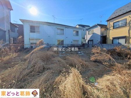 ���n�y�n�ʐ^ �B�e��(2026-01-06 00:00:00)