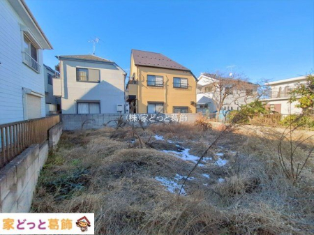 ���n�y�n�ʐ^ �B�e��(2026-01-06 00:00:00)