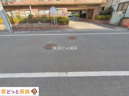 ���n�O�ώʐ^ �B�e��(2026-01-05 00:00:00)