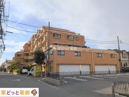 ���n�O�ώʐ^ �B�e��(2026-01-05 00:00:00)