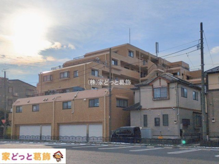 ���n�O�ώʐ^ �B�e��(2026-01-05 00:00:00)