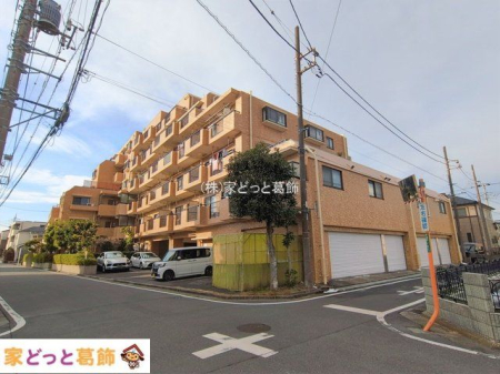 ���n�O�ώʐ^ �B�e��(2026-01-05 00:00:00)