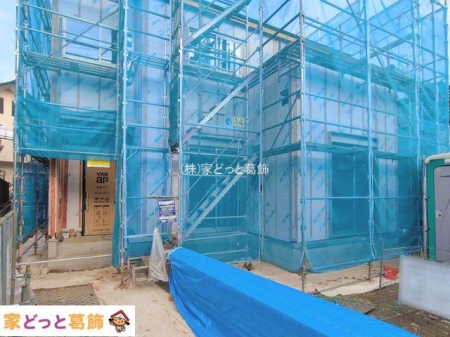 ���n�O�ώʐ^ �B�e��(2026-01-19 00:00:00)