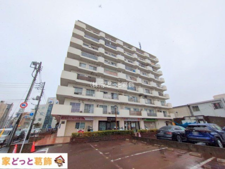 ���n�O�ώʐ^ �B�e��(2025-03-19 00:00:00)