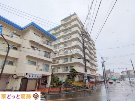 ���n�O�ώʐ^ �B�e��(2025-03-19 00:00:00)