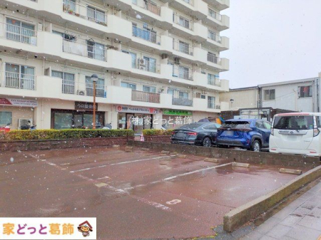 ���n�O�ώʐ^ �B�e��(2025-03-19 00:00:00)