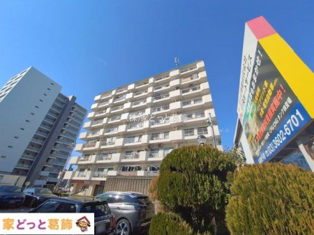 ���n�O�ώʐ^ �B�e��(2026-01-30)