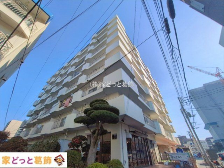 ���n�O�ώʐ^ �B�e��(2026-01-30 00:00:00)