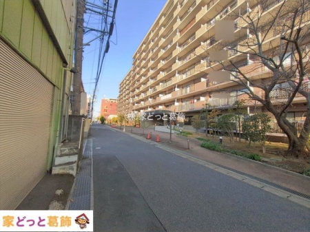 ���n�O�ώʐ^ �B�e��(2026-01-13 00:00:00)