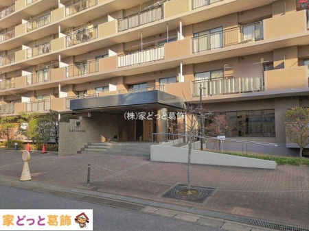 �G���g�����X �B�e��(2026-01-13)