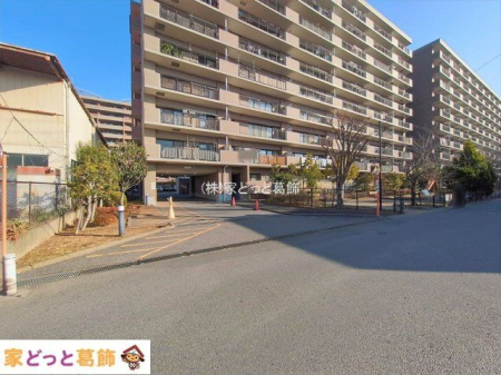 ���n�O�ώʐ^ �B�e��(2026-01-13 00:00:00)