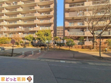 ���n�O�ώʐ^ �B�e��(2026-01-13 00:00:00)