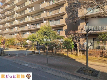 ���n�O�ώʐ^ �B�e��(2026-01-13 00:00:00)