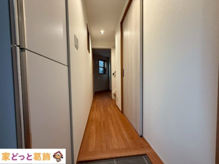 ���� ����