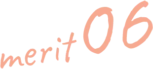 merit06