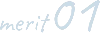 merit01