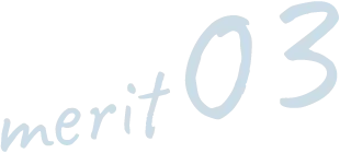 merit03