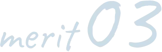 merit03